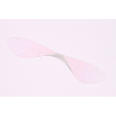 Křídla vážky č.2