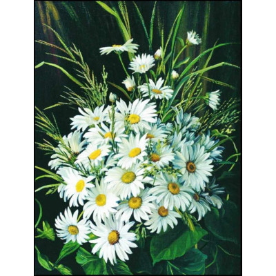 Diamantové malování - Svazek kopretin č. 1112 - 65x85cm