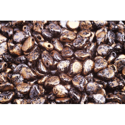 PRECIOSA Pip™ č. 151 - 5x7mm