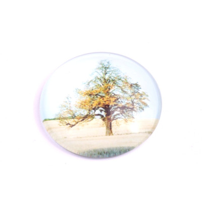 Kabošon č.1030 - 30 mm