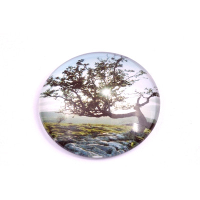 Kabošon č.1032 - 30 mm