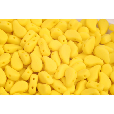 Paisley  Duo - č.146