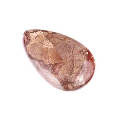 Kabošon Mushroom Rhyolite č.355 (49x32 mm)