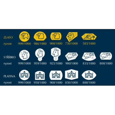 Přívěsek Howlit 925/1000 č.6