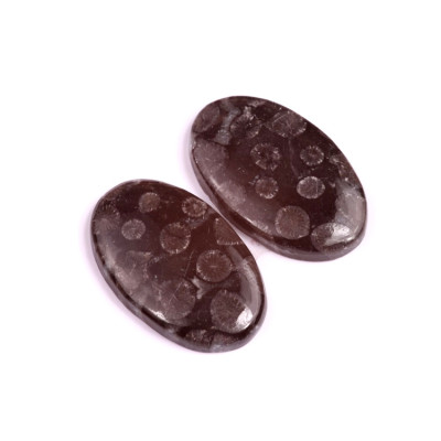 Kabošony páry Black Fossil Coral č.P78 (34x21x5mm)