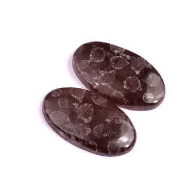 Kabošony páry Black Fossil Coral č.P79 (39x21x7mm)
