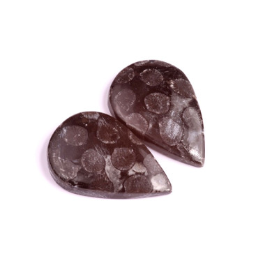 Kabošony páry Black Fossil Coral č.P80 (34x23x5mm)