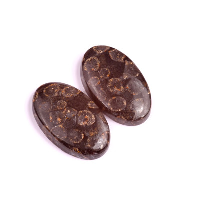 Kabošony páry Black Fossil Coral č.P81 (35x21x7mm)