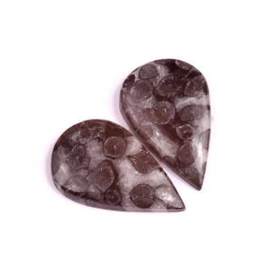 Kabošony páry Black Fossil Coral č.P83 (37x23x6mm)