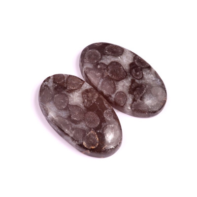 Kabošony páry Black Fossil Coral č.P84 (37x21x6mm)