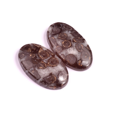 Kabošony páry Black Fossil Coral č.P85 (37x21x7mm)