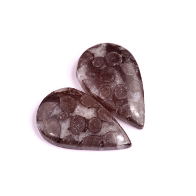 Kabošony páry Black Fossil Coral č.P86 (36x22x6mm)