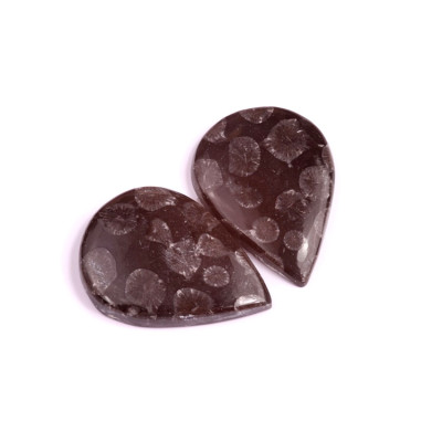 Kabošony páry Black Fossil Coral č.P87 (32x23x6mm)