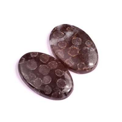 Kabošony páry Black Fossil Coral č.P88 (38x24x7mm)