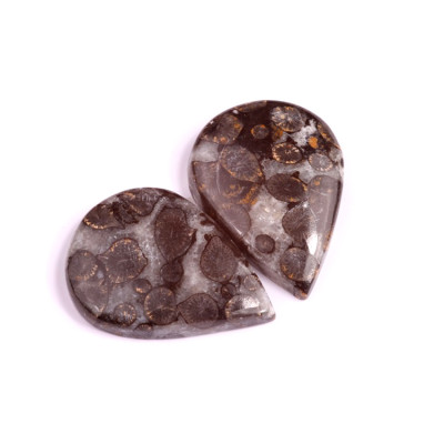 Kabošony páry Black Fossil Coral č.P90 (36x26x7mm)