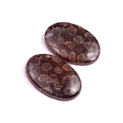 Kabošony páry Black Fossil Coral č.P92 (37x25x7mm)