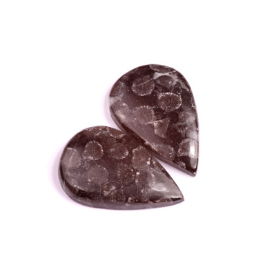 Kabošony páry Black Fossil Coral č.P93 (35x23x6mm)