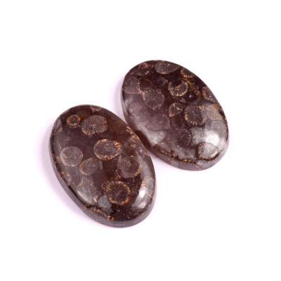 Kabošony páry Black Fossil Coral č.P94 (35x23x7mm)