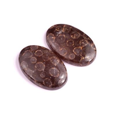 Kabošony páry Black Fossil Coral č.P95 (35x23x6mm)