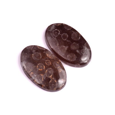 Kabošony páry Black Fossil Coral č.P96 (37x22x6mm)