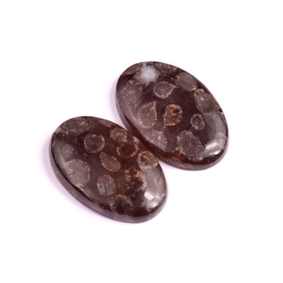 Kabošony páry Black Fossil Coral č.P97 (36x23x7mm)