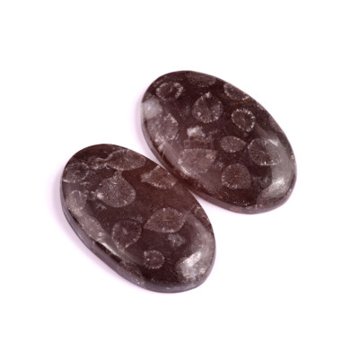 Kabošony páry Black Fossil Coral č.P98 (37x23x6mm)