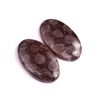 Kabošony páry Black Fossil Coral č.P100 (37x22x5mm)