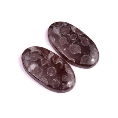 Kabošony páry Black Fossil Coral č.P101 (40x22x6mm)