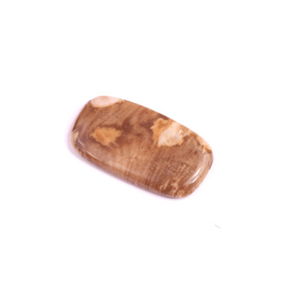 Kabošon Palm Root Jasper č.1595 (30x17x4mm)