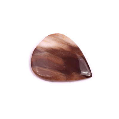 Kabošon Palm Root Jasper č.1596 (30x24x4mm)