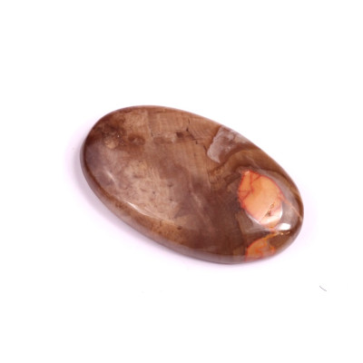 Kabošon Palm Root Jasper č.1598 (36x21x6mm)