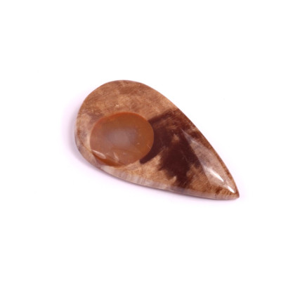 Kabošon Palm Root Jasper č.1602 (36x19x6mm)