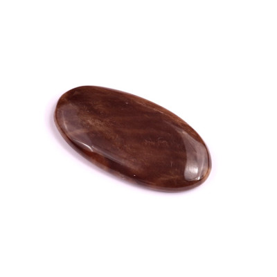 Kabošon Palm Root Jasper č.1603 (32x17x4mm)