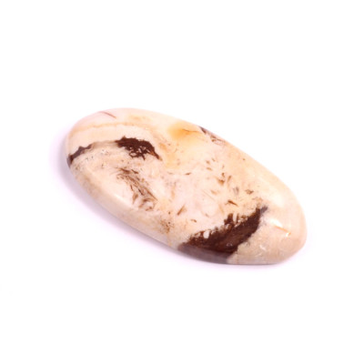 Kabošon Palm Root Jasper č.1612 (39x18x6mm)
