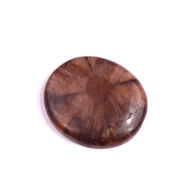 Kabošon Chiastolite Jasper č.1810 (37x33x6mm)