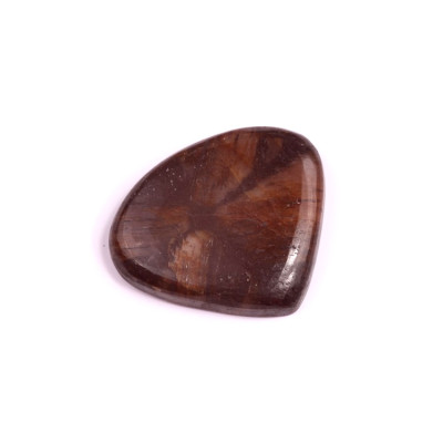 Kabošon Chiastolite Jasper č.1816 (31x27x5mm)