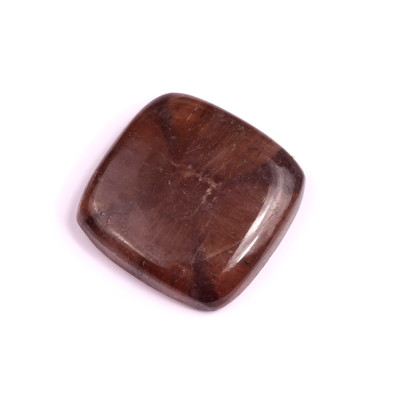Kabošon Chiastolite Jasper č.1818 (28x28x7mm)