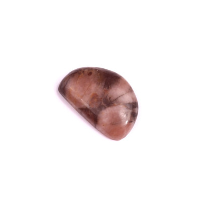 Kabošon Chiastolite Jasper č.1822 (25x17x5mm)