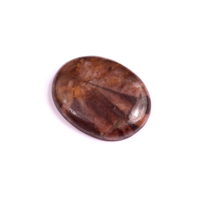 Kabošon Chiastolite Jasper č.1825 (32x24x6mm)