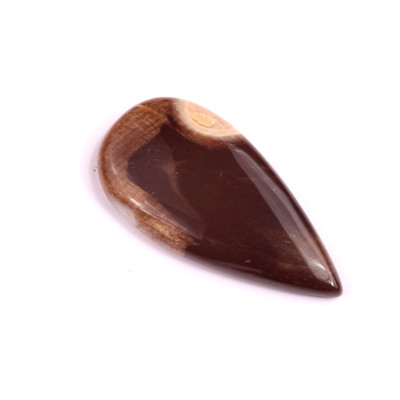 Kabošon Palm Root Jasper č.1972 (40x20x6mm)