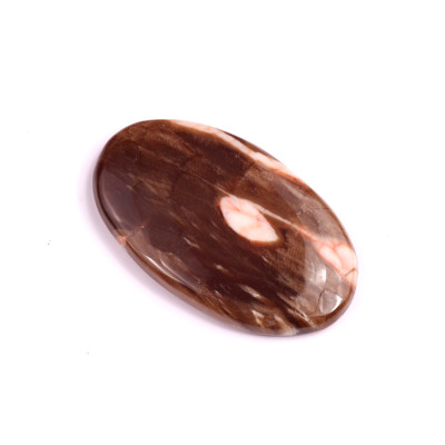 Kabošon Palm Root Jasper č.1973 (38x23x5mm)