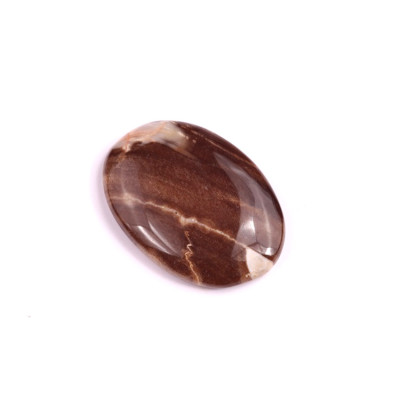 Kabošon Palm Root Jasper č.1974 (28x20x5mm)