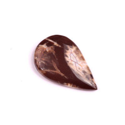 Kabošon Palm Root Jasper č.1976 (33x21x5mm)