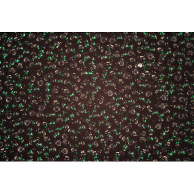 Preciosa rokajl 10/0 č.680 (50g)