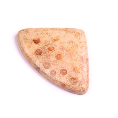 Kabošon Fossil Coral č.2072 (41x28x5mm)