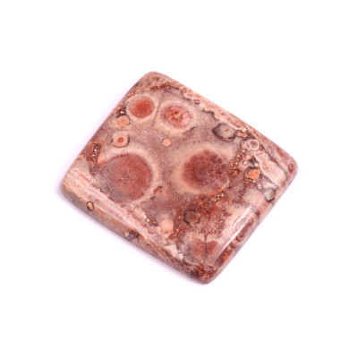 Kabošon Birds Eye Jasper č.2156 (36x32x6mm)