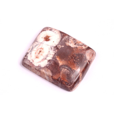 Kabošon Birds Eye Jasper č.2158 (28x24x6mm)