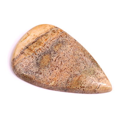 Kabošon Picture Jasper č.2335 (46x29x5mm)