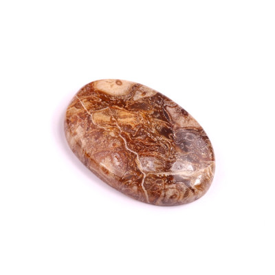 Kabošon Peanut Fossil č.2519 (32x21x6mm)
