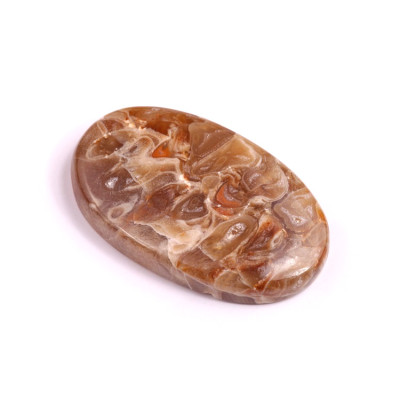 Kabošon Peanut Fossil č.2525 (37x22x6mm)